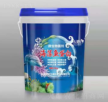 海藻魚(yú)蛋白-五梁紅