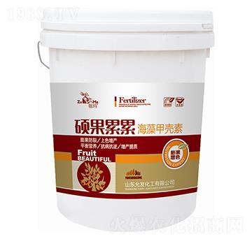 ����ך���-�T������-�欔-�ʰl(f��)����