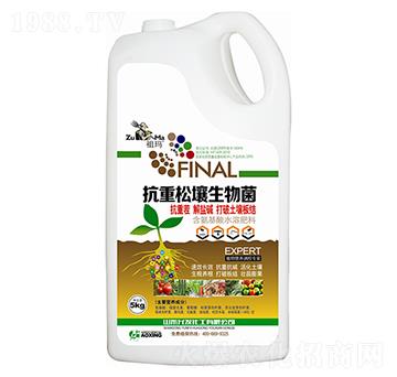 �������������-�欔-�ʰl(f��)����