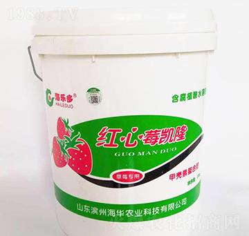 �t��ݮ�P�����_ʩ�ͣ�-���A�r(n��ng)�I(y��)