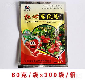 �t��ݮ�P������ʩ��-���A�r(n��ng)�I(y��)