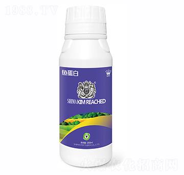 �~����1000ml-�{�R�ʘI(y��)