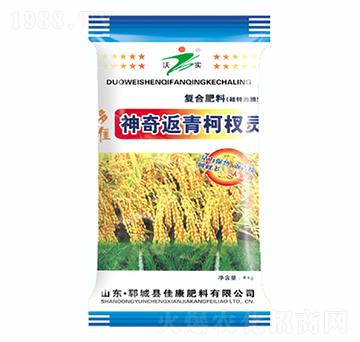 �����辷�-�ѿ�