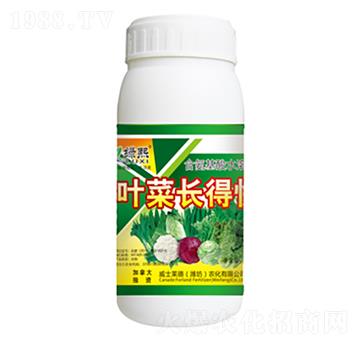 �~���L�ÿ�-�G��-��ʿ�R��