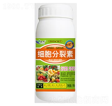 ��(x��)��������-�G��-��ʿ�R��