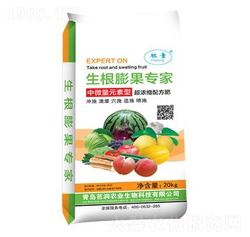 �����������-�ŝ�(r��n)