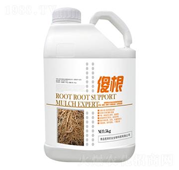 ɵ��-�ŝ�(r��n)