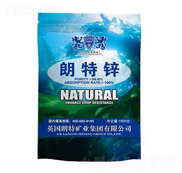 �����\-Ӣ����