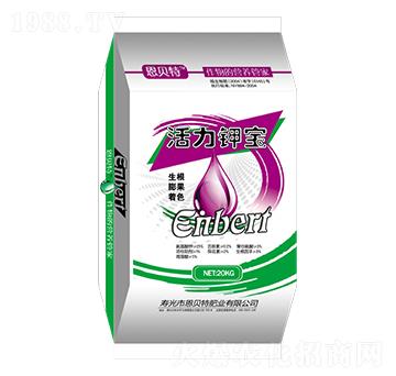 ����⛌�-��ؐ��