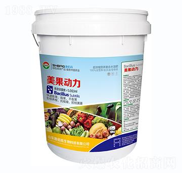 ��������-ʩ�۸�