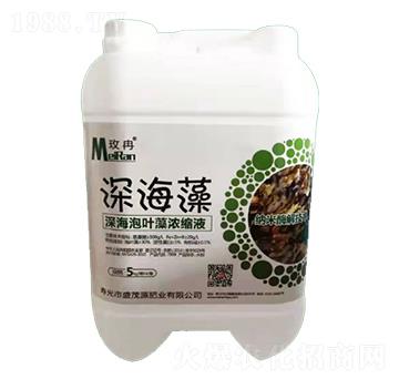 ����~���sҺ-���-ʢïԴ