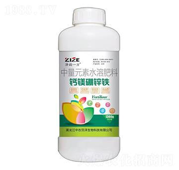 �}�V���\�F-���һ��-���r���