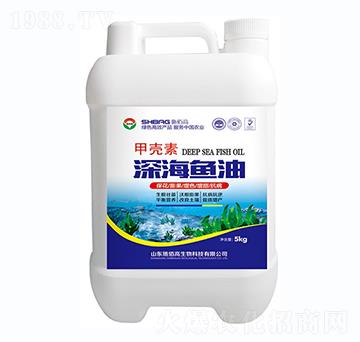 �ך�����~��-ʩ�۸�