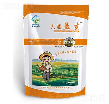 天賜益生-天賜鼎立