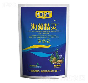 ���徫�`-���~ֲ��