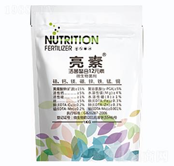 ����-�º���