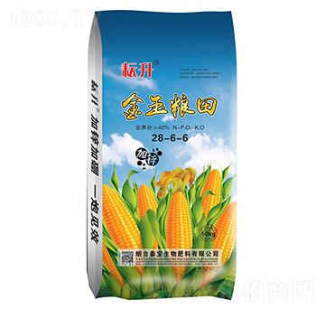 ����Z��28-6-6-̩������