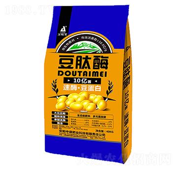 ΢�������10�|��-����ø-��ʢ�ʘI(y��)