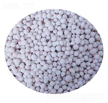 �w����(f��)�Ϸ���-���S