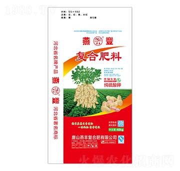 ������⛓������13-