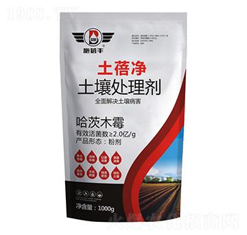 ���������̎�턩-ʩ���S