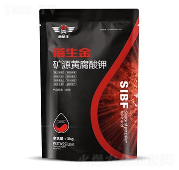 �VԴ�S�����-������-ʩ���S