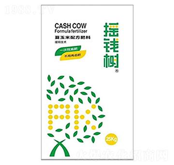 夏玉米控釋肥-搖錢(qián)樹(shù)-農(nóng)業(yè)生產(chǎn)