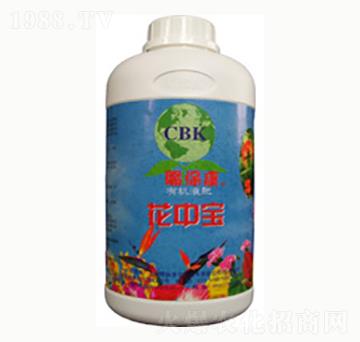 ���Ќ�-�n����