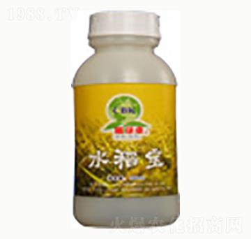 ˮ����-�n����