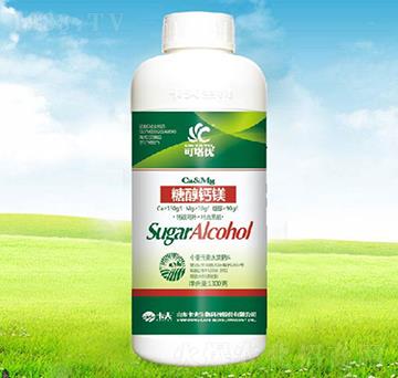 �Ǵ��}�V-������(y��u)-����