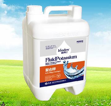 �{(l��n)��ʿ�ۺ��-����