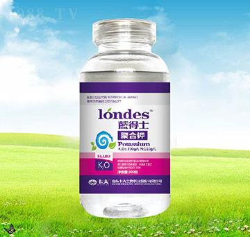 300���{(l��n)��ʿ�ۺ��-����