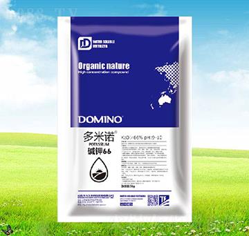 �A�66-�����Z-����