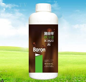 ʩȫ�S�Ҹ���-����