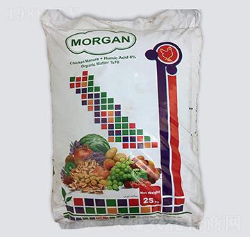 Morgan �w������-�ָ���