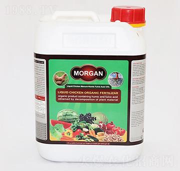 Morgan Һ�w���ݷ���-�ָ���