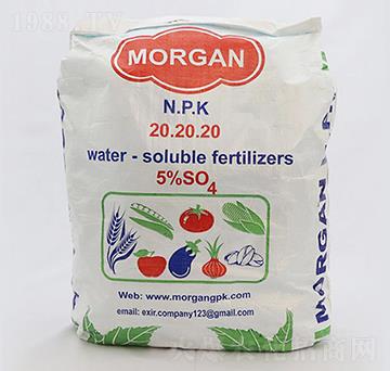 Morgan NPK��ĩ����20.20.20-�ָ���