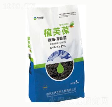 ̼ø�����ܾ�-ֲܽ��-��¹����