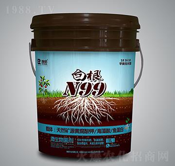 �׸�N99-�����r(n��ng)�I(y��)