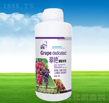 ���G���ь���-�μѸ�