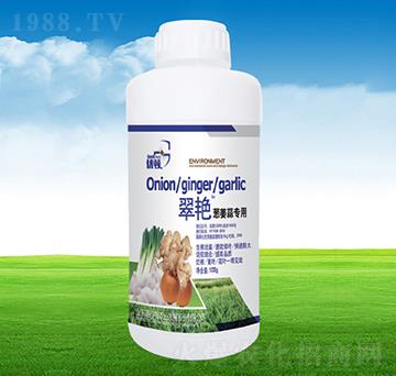 ���G�[���⌣��-�μѸ�