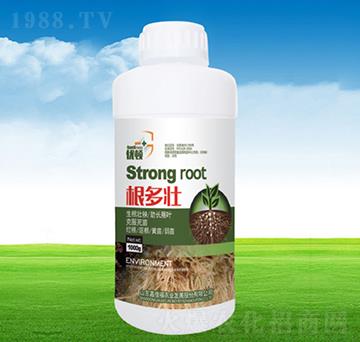 ������-�μѸ�