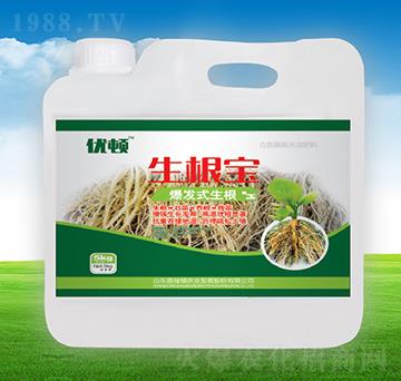 ������-�μѸ�