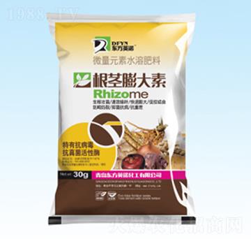 ���o�����-�|��Ӣ�Z