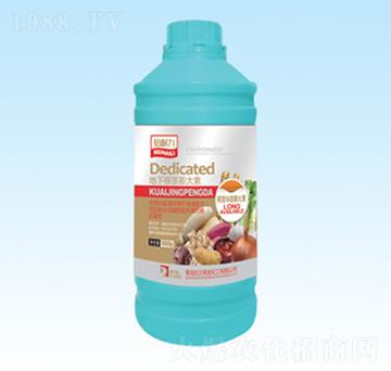 ���¸��o�����-�|��Ӣ�Z