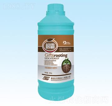 ����-�|��Ӣ�Z