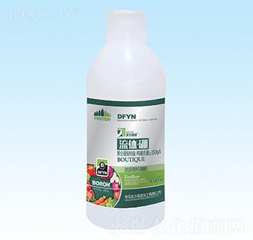 ���w����-�|��Ӣ�Z