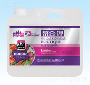 5kg�ۺϡ��-�|��Ӣ�Z