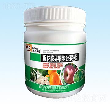 �ٻ������(x��)��������-�|��Ӣ�Z