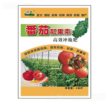 �����n����-��(r��n)�����